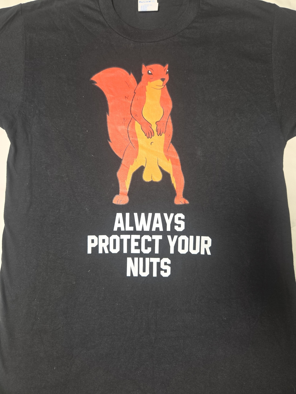 Always Protect Your Nuts Black Graphic Tee